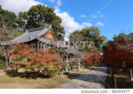 以紅葉聞名的京都府長岡京市光明寺境內的京藏和紅葉風光。 以紅葉聞名的京都府長岡京市光明寺境內的京藏和紅葉風光。 86404977