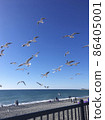Gulls are flying against the background of the sea 86405001