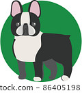 Boston terrier with a cute nose 86405198