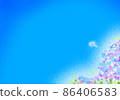 Sunny and hydrangea 86406583
