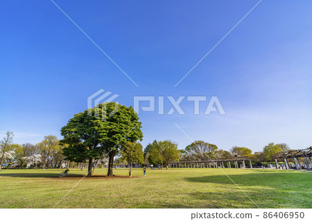 春季武藏國分寺公園圓形廣場（2021年3月） 86406950