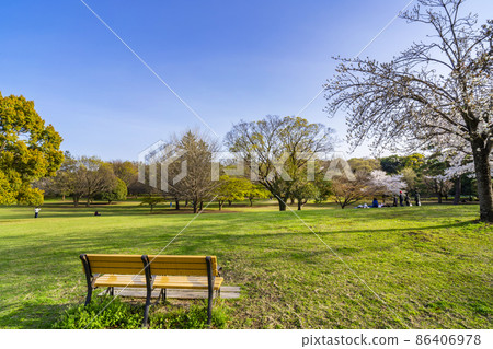 Scenery of Musashi Kokubunji Park in spring ・ Komorebi Square and wooden bench (March 2021) 86406978