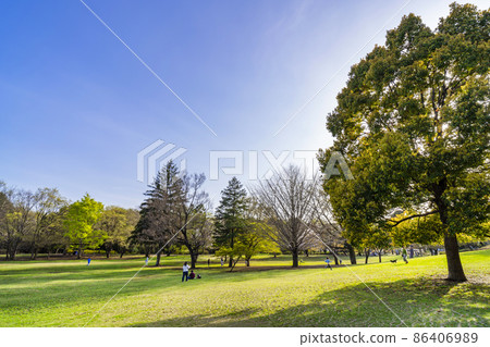 春天的武藏國分寺公園的Komorebi廣場(2021年3月) 春天的武藏國分寺公園的Komorebi廣場(2021年3月) 86406989