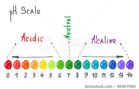 Horizontal pH scale for measuring acid alkaline balance. Chemical value test. Doodle infographics with indicator chart. Hand drawn vector illustration Horizontal pH scale for measuring acid alkaline balance. Chemical value test. Doodle infographics with indicator chart. Hand drawn vector illustration 86407660