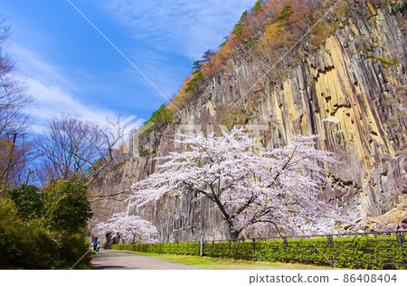 櫻花和小原木岩(宮城縣白石市) 櫻花和小原木岩(宮城縣白石市) 86408404