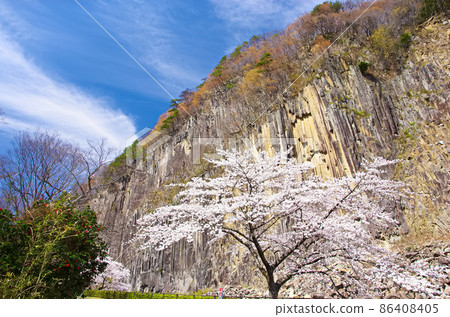 櫻花和小原木岩（宮城縣白石市） 86408405