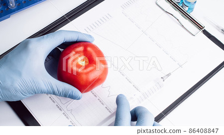 Genetic modification GMO. Scientist injecting liquid from syringe into red tomato. Genetically modified food. 86408847