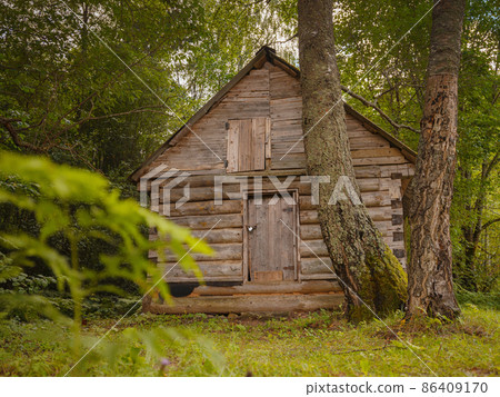 summer travel to Russia, Torzhok city. 86409170