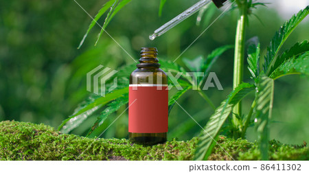Hemp herb and leaves with oil extracts, bottle with dropper, pipette. Medical concept 86411302
