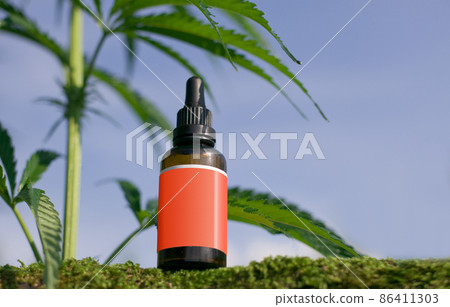 Cannabis herb and leaves with oil extracts in jars. medical concept. 86411303