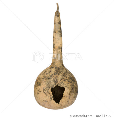 Calabash, Bottle Gourd fruit isolated on white background 86411309