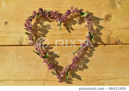 藤間鐮乾花製成的心形花環 86412490