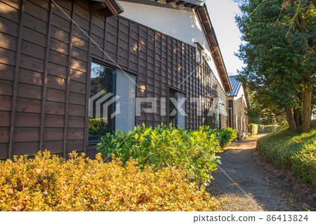 深冬難波城公園，博物館後面，富士見市 86413824