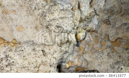 Stalactite in the stalactite cave Stalactite in the stalactite cave 86413877