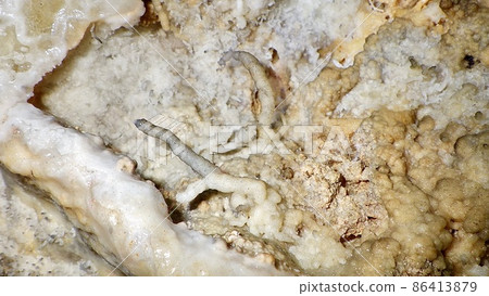 Stalactite in the stalactite cave Stalactite in the stalactite cave 86413879