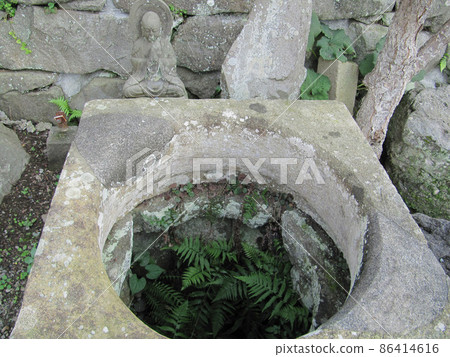 Inside the well where ferns grew [Yuno well from Masako Hojo] / [Hojo no Sato] Izunokuni City, Shizuoka Prefecture 86414616