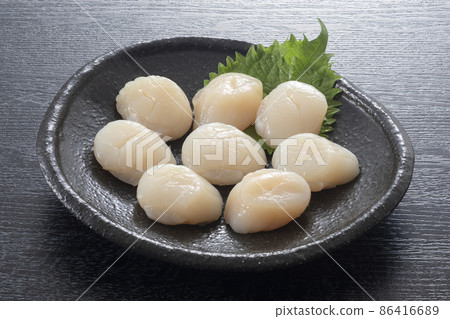 扇貝 扇貝 86416689