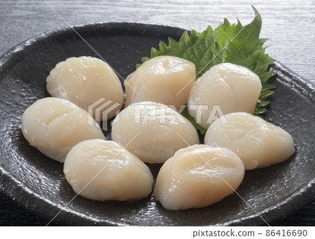 扇貝 扇貝 86416690