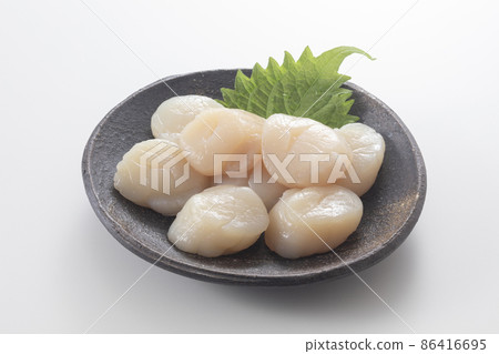 扇貝 扇貝 86416695