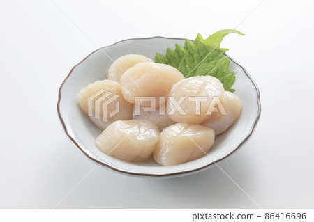 扇貝 86416696