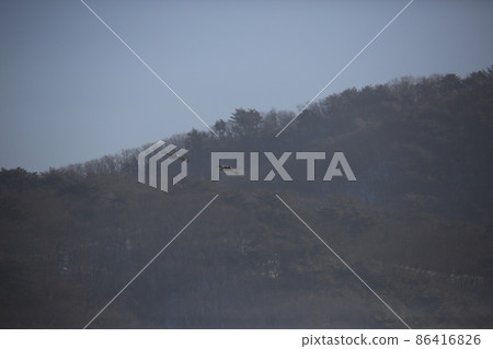 Gangwon-do. Cheorwon Crane Village. Exploration. Red-crowned Crane 86416826