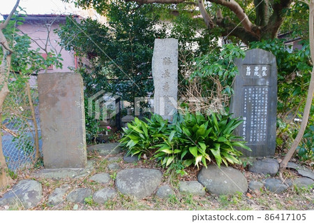 鎌倉勝長院遺址 鎌倉勝長院遺址 86417105
