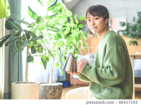 室內盆栽 觀葉植物 植物 86417193