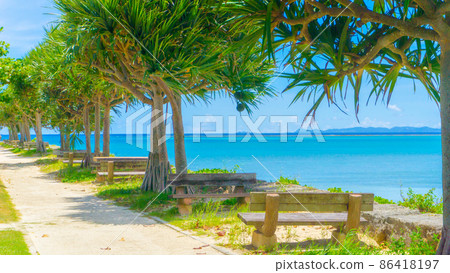 Sea of the tropics 86418197