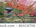 Ensei-ji Temple Romon紅葉 86418706