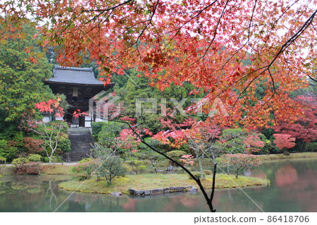 Ensei-ji Temple Romon紅葉 Ensei-ji Temple Romon紅葉 86418706