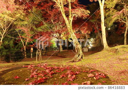 Kasayama山公園 Kasayama山公園 86418883