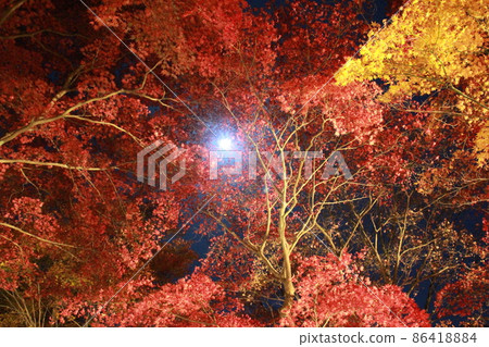 笠木山紅葉公園月亮和紅葉 笠木山紅葉公園月亮和紅葉 86418884