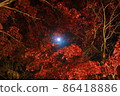 笠木山紅葉公園月亮和紅葉 86418886