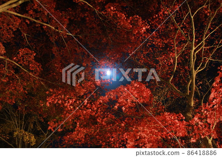 笠木山紅葉公園月亮和紅葉 86418886