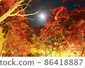 笠木山紅葉公園月亮和紅葉 86418887