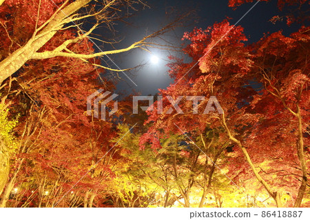 笠木山紅葉公園月亮和紅葉 86418887