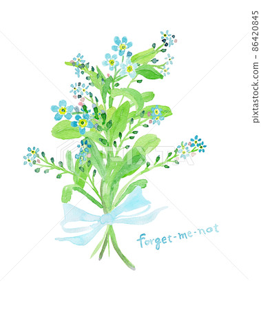 Watercolor illustration of forget-me-not bouquet Watercolor illustration of forget-me-not bouquet 86420845
