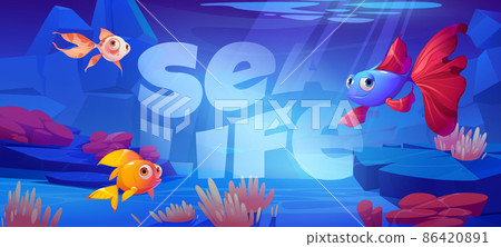 Sea life cartoon banner with cute tropical fishes 86420891