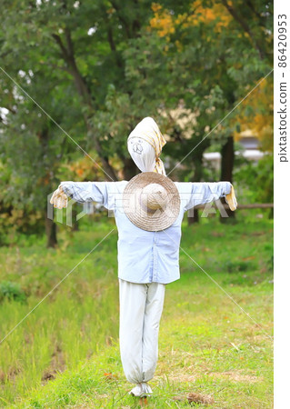 Scarecrow of rice field Scarecrow of rice field 86420953