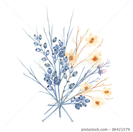 Watercolor twig with blue berries. Winter berry Watercolor twig with blue berries. Winter berry 86421579