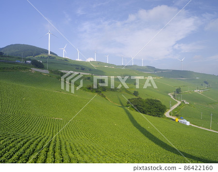 Gangwon-do, Taebaek-si, Windy Hill, Maebongsan Gangwon-do, Taebaek-si, Windy Hill, Maebongsan 86422160