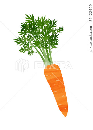 Carrots Carrots 86422409