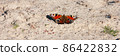 The spring natural banner of the beautiful butterfly on the sand. 86422832