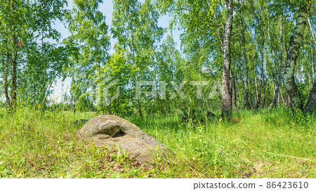 A large ancient sacred boulder stone, Sledovik, covered with lichen in a birch forest in the Orel region, Russia A large ancient sacred boulder stone, Sledovik, covered with lichen in a birch forest in the Orel region, Russia 86423610
