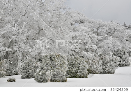 Superb view of midwinter Superb view of midwinter 86424209