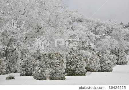 Superb view of midwinter 86424215