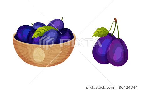 Ripe plums with green leaves. Fresh organic fruit in wooden bowl vector illustration Ripe plums with green leaves. Fresh organic fruit in wooden bowl vector illustration 86424344