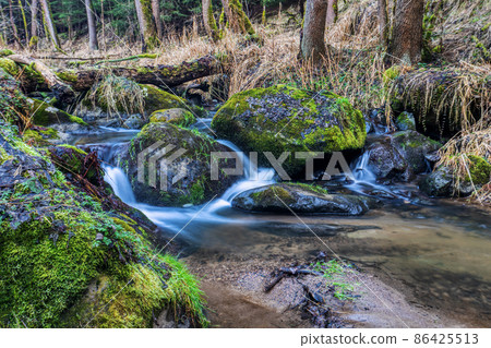 Small forest creek in a woodland Small forest creek in a woodland 86425513