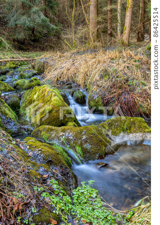 Small forest creek in a woodland Small forest creek in a woodland 86425514