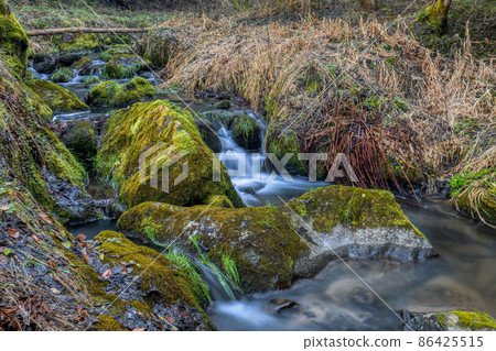 Small forest creek in a woodland Small forest creek in a woodland 86425515